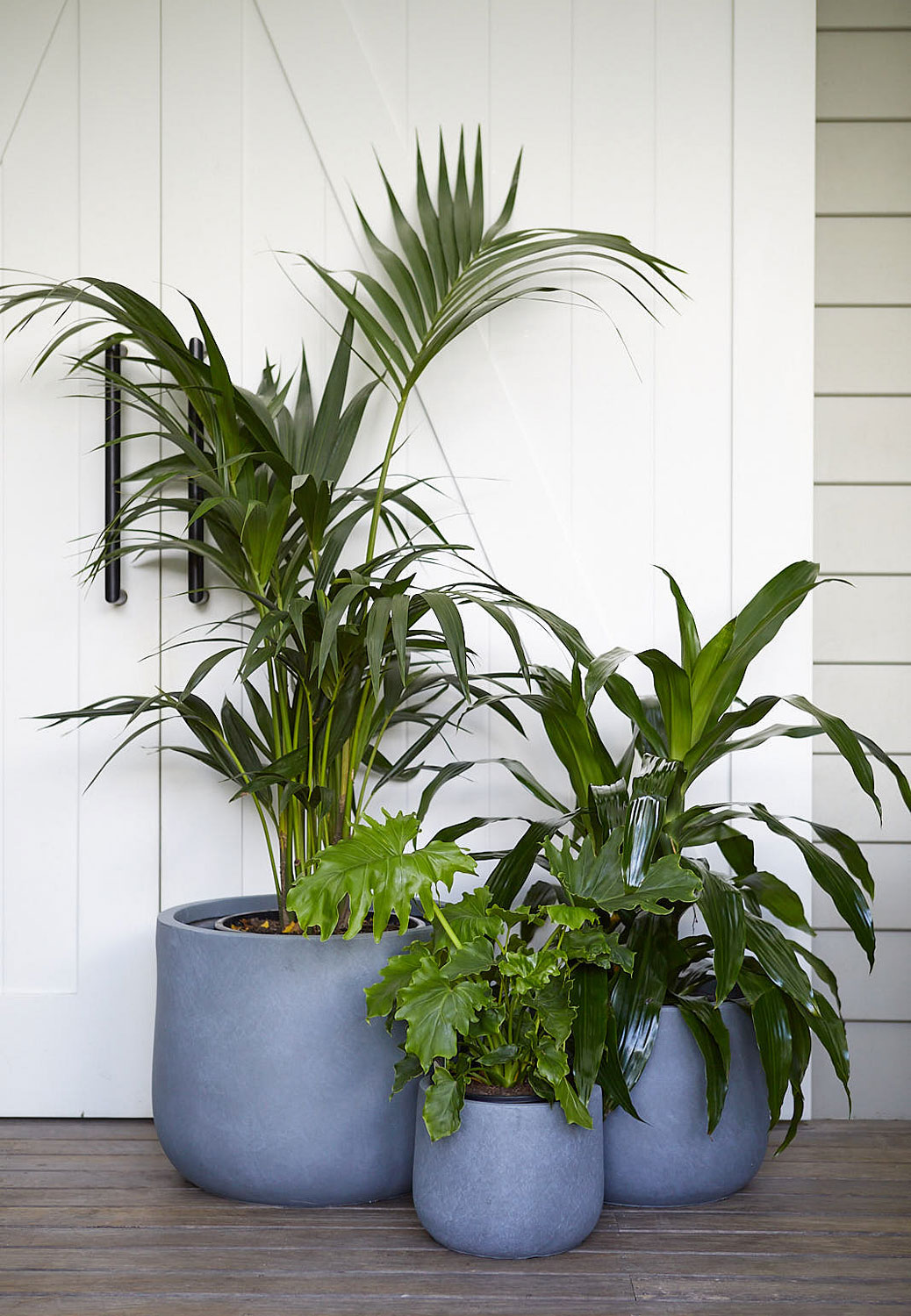 The Wild Side - Light Grey Pot Cluster