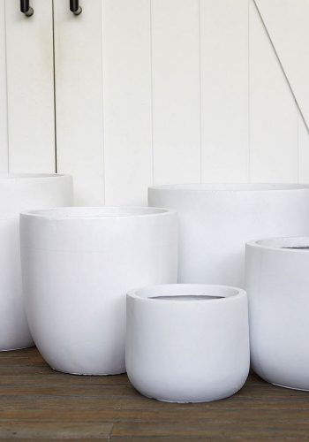 The Wild Side - White Pot Collection