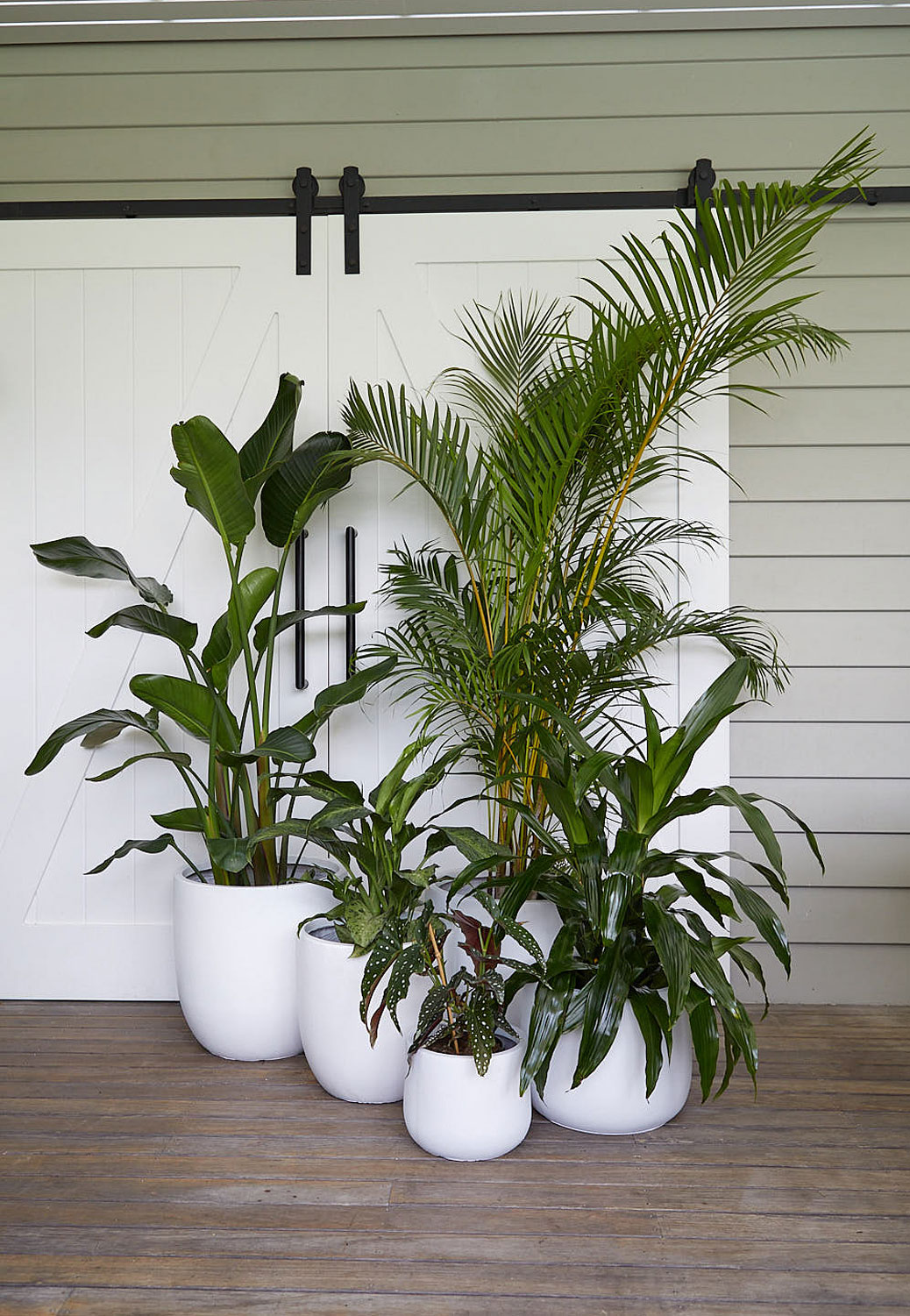 The-Wild-Side-Plant-Hire-Events-Real-Estate-product-33c